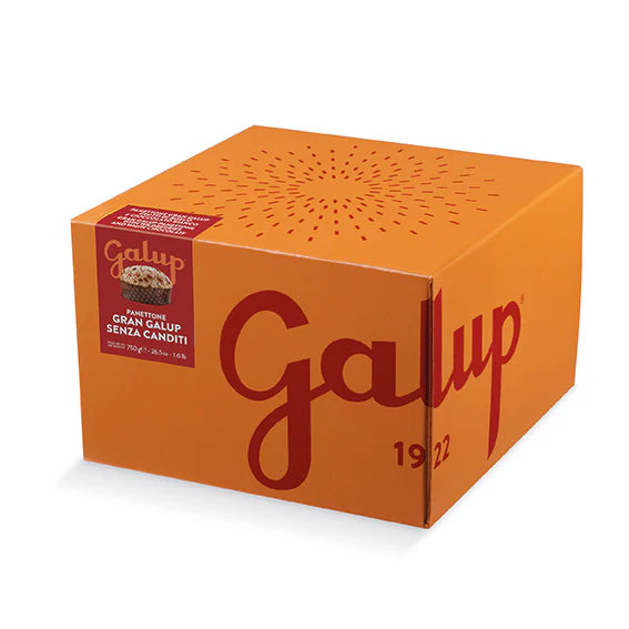 Panettone Solo Uvetta Galup 750 g – Glassa alle Nocciole