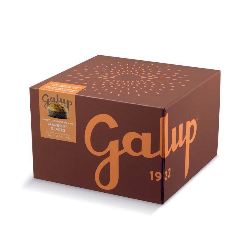 Panettone marron glaces 750gr Galup