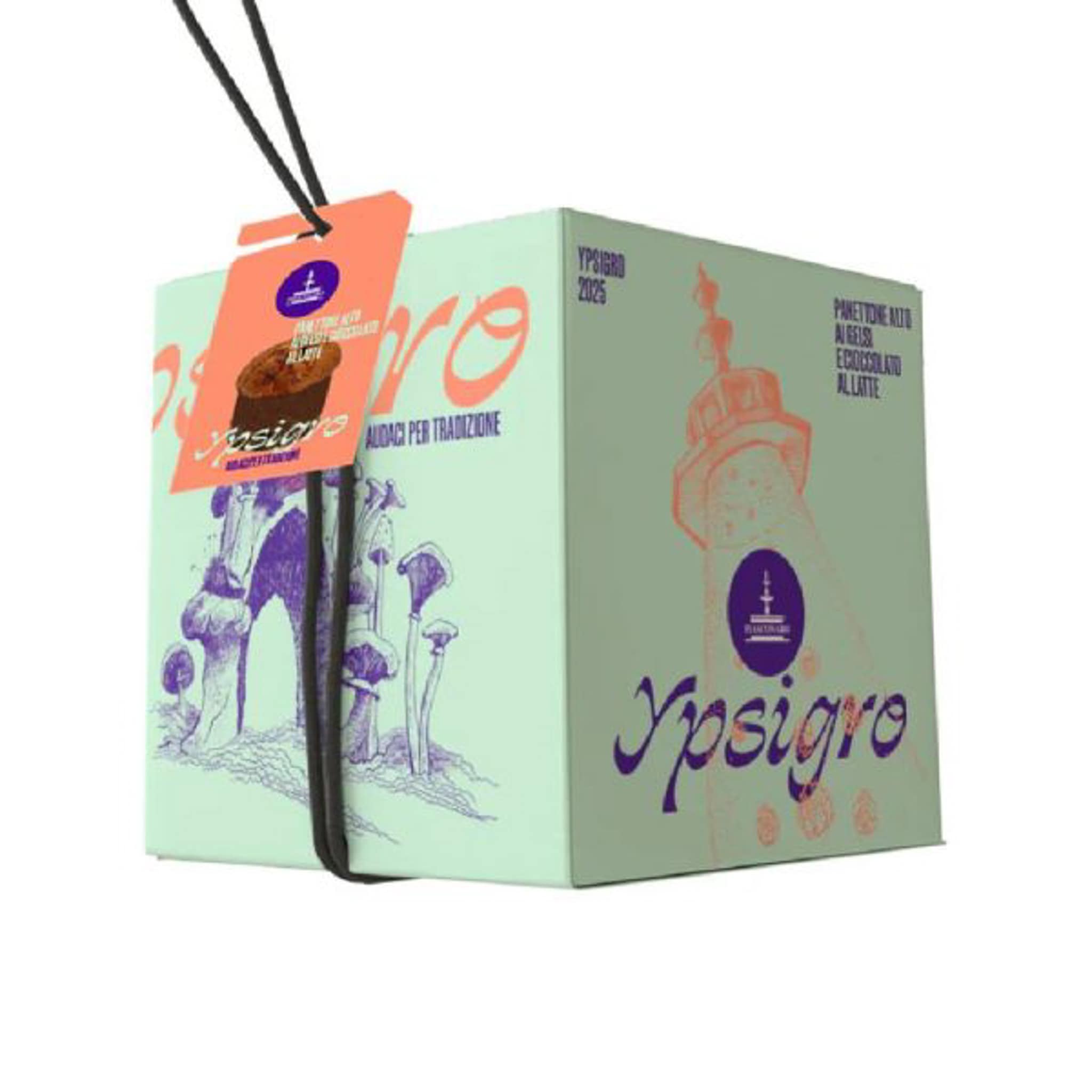 Panettone Fiasconaro Ypsigro gelsi e cioccolato al latte confezione