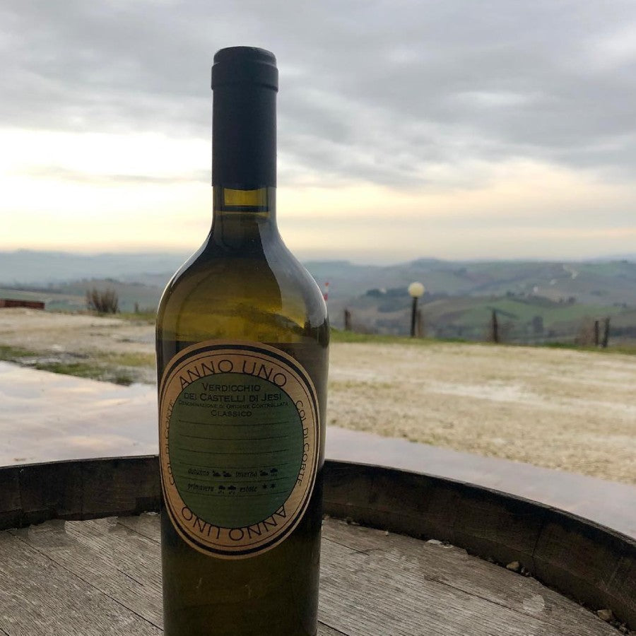 Verdicchio dei Castelli di Jesi Anno Uno – Col di Corte