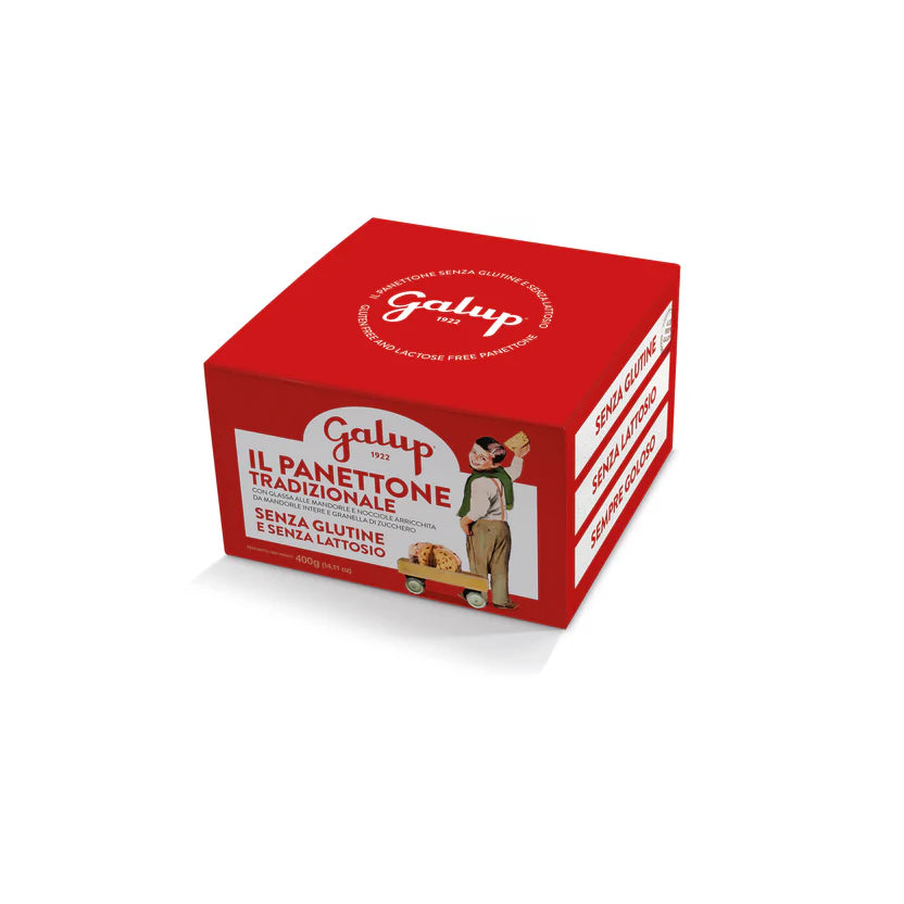 Panettone Tradizionale Senza Glutine Galup 400 g – Gluten Free