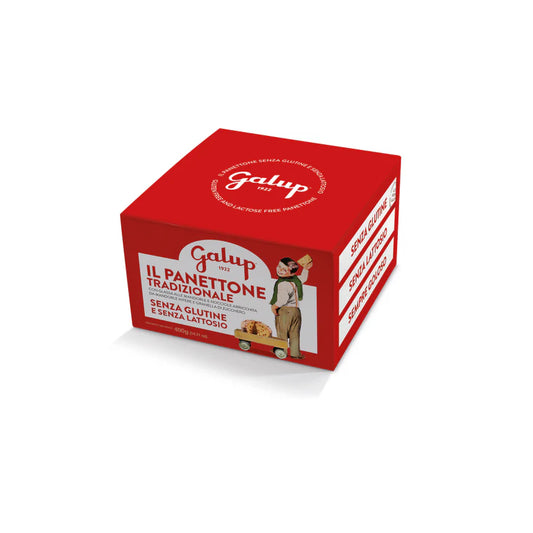 Panettone senza glutine 400gr Galup