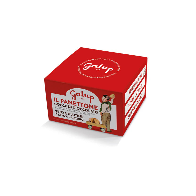 Panettone Cioccolato Senza Glutine Galup 400 g – Gluten Free