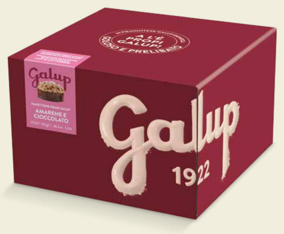 Panettone Amarene e Cioccolato Galup 750 g