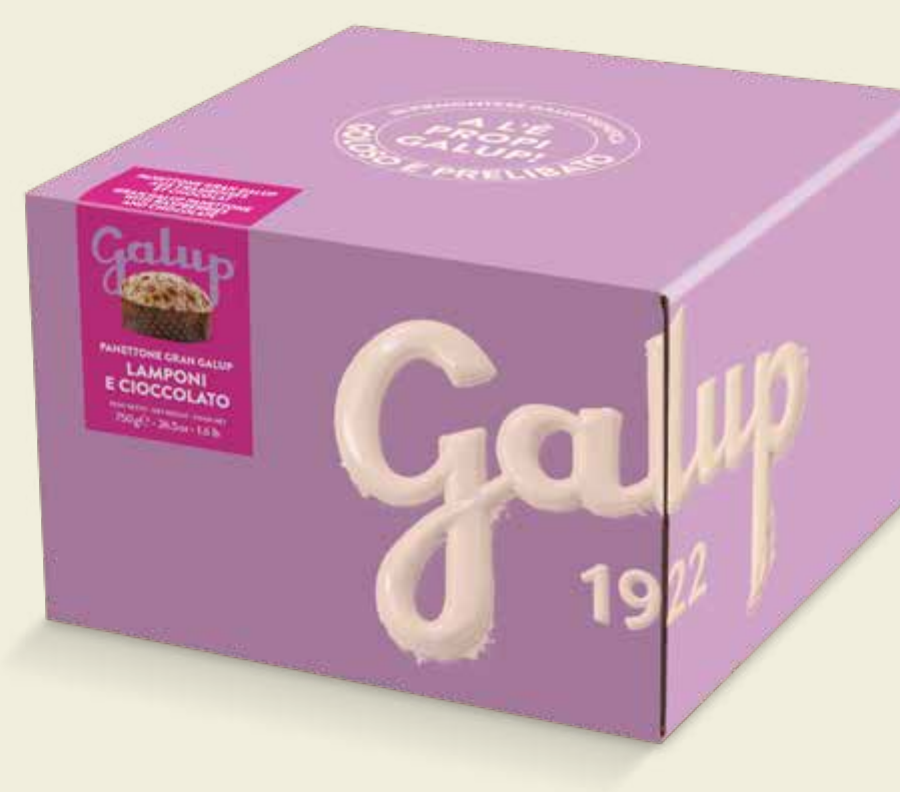 Panettone Lampone e Cioccolato Galup 750 g