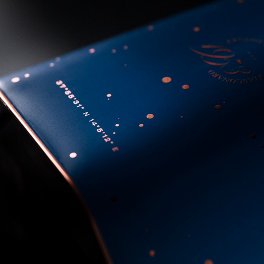 Panettone Montenero Premium Latta Fiasconaro 1kg