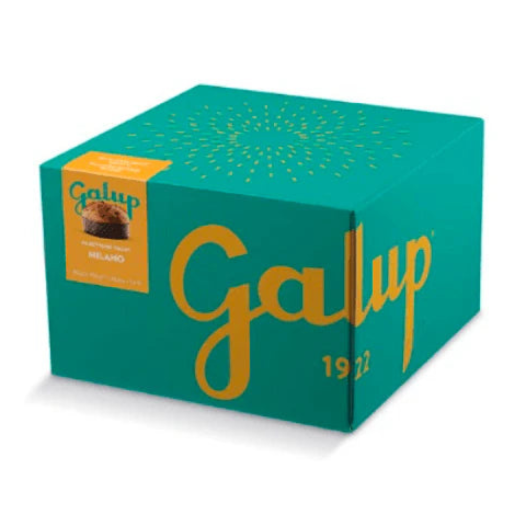 Panettone milanese 1kg Galup