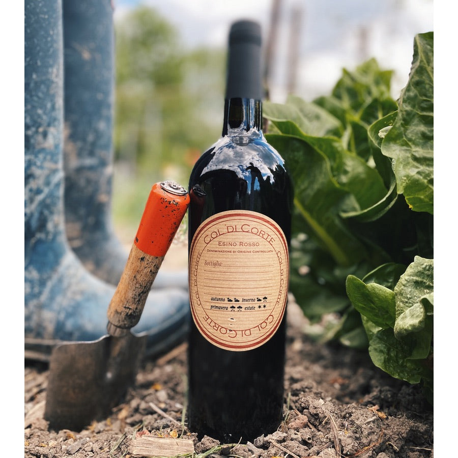 Esino Rosso Montepulciano – Col di Corte